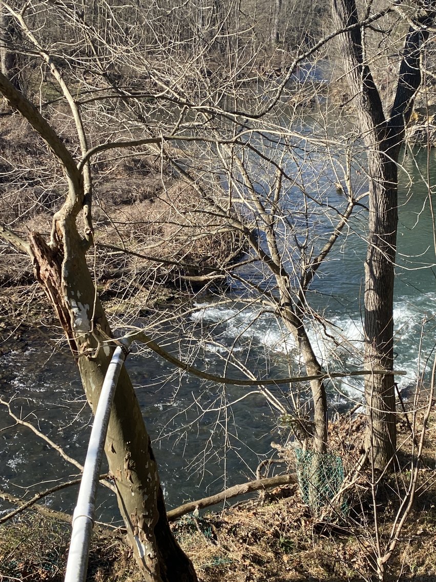 Image for 4 BR/3 BA Home on 20 +/- Acres w/Gorgeous Mountain Views, Multiple Barns/Outbuildings & Creek on Property--Page County, VA