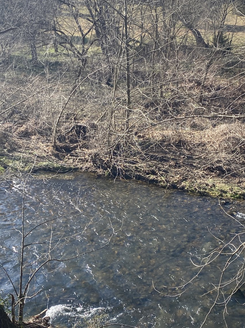 Image for 4 BR/3 BA Home on 20 +/- Acres w/Gorgeous Mountain Views, Multiple Barns/Outbuildings & Creek on Property--Page County, VA