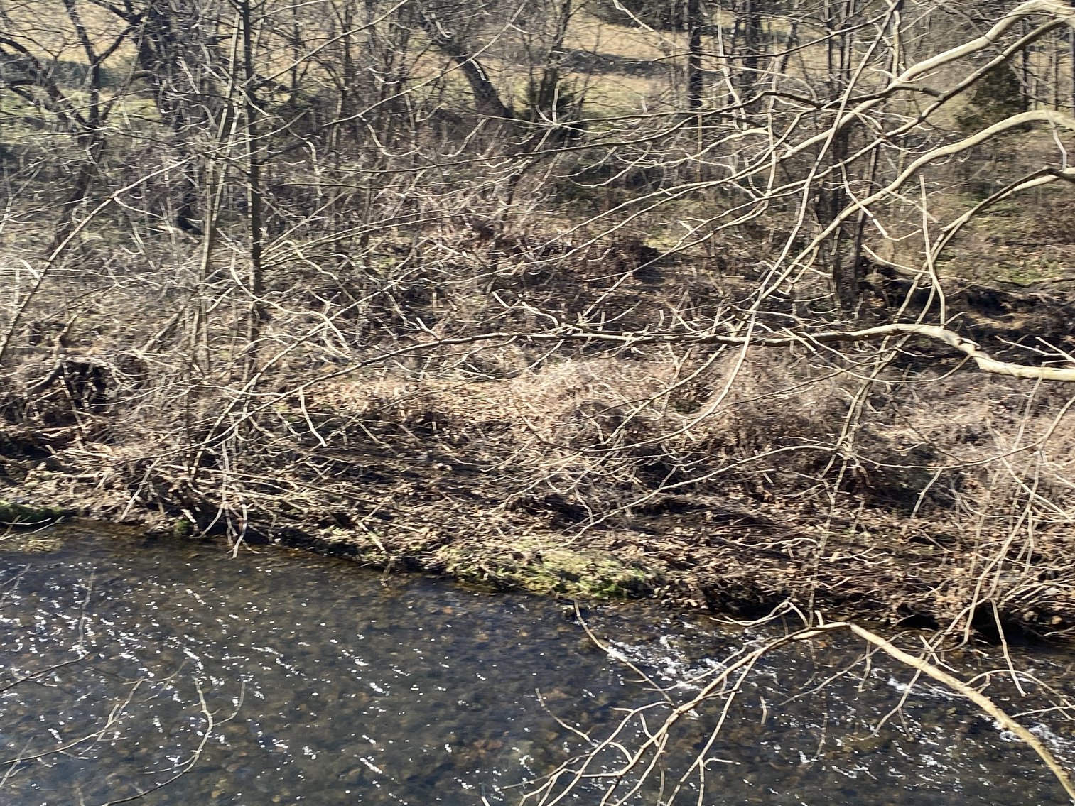 Image for 4 BR/3 BA Home on 20 +/- Acres w/Gorgeous Mountain Views, Multiple Barns/Outbuildings & Creek on Property--Page County, VA