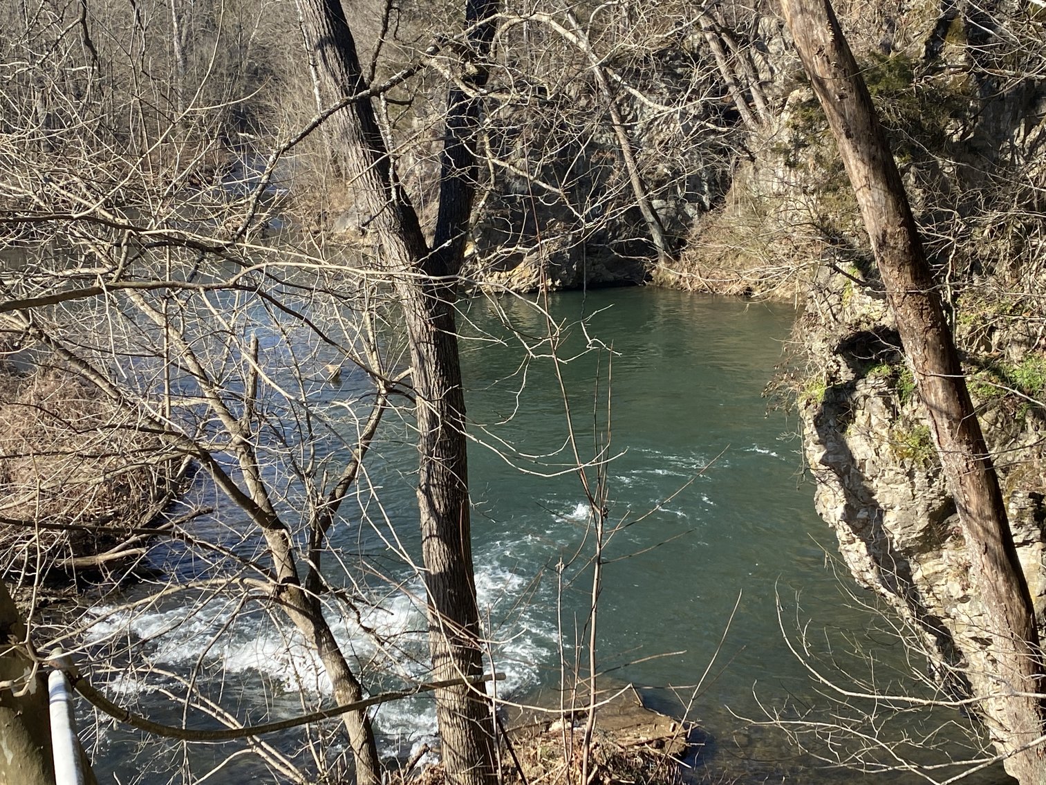 Image for 4 BR/3 BA Home on 20 +/- Acres w/Gorgeous Mountain Views, Multiple Barns/Outbuildings & Creek on Property--Page County, VA