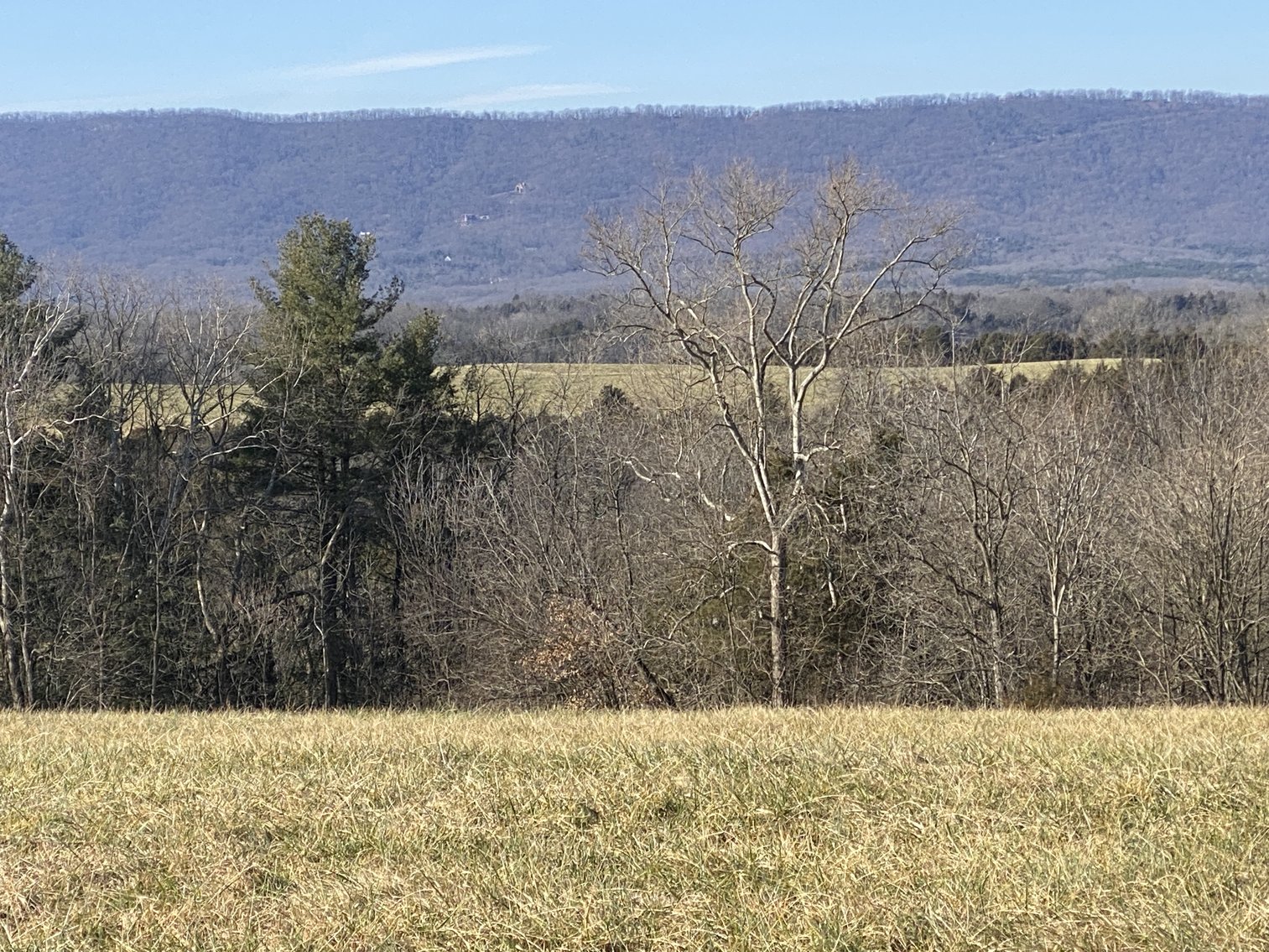 Image for 4 BR/3 BA Home on 20 +/- Acres w/Gorgeous Mountain Views, Multiple Barns/Outbuildings & Creek on Property--Page County, VA