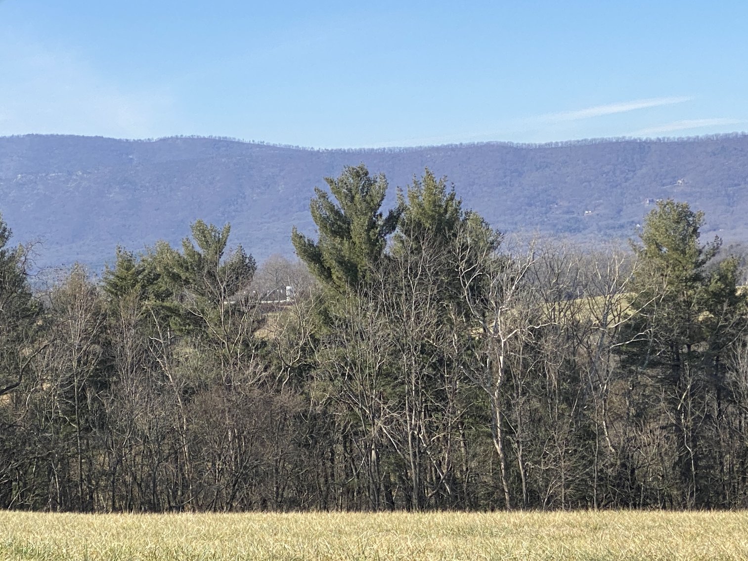 Image for 4 BR/3 BA Home on 20 +/- Acres w/Gorgeous Mountain Views, Multiple Barns/Outbuildings & Creek on Property--Page County, VA