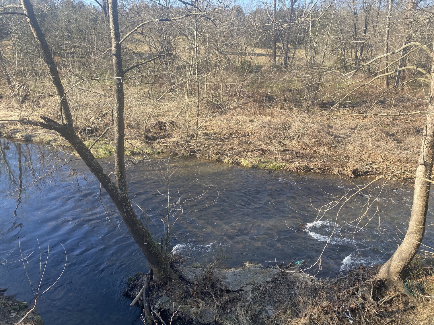 Image for 4 BR/3 BA Home on 20 +/- Acres w/Gorgeous Mountain Views, Multiple Barns/Outbuildings & Creek on Property--Page County, VA