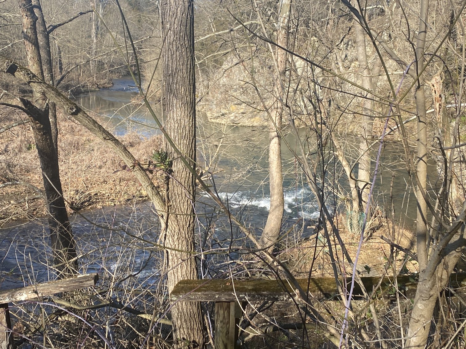 Image for 4 BR/3 BA Home on 20 +/- Acres w/Gorgeous Mountain Views, Multiple Barns/Outbuildings & Creek on Property--Page County, VA