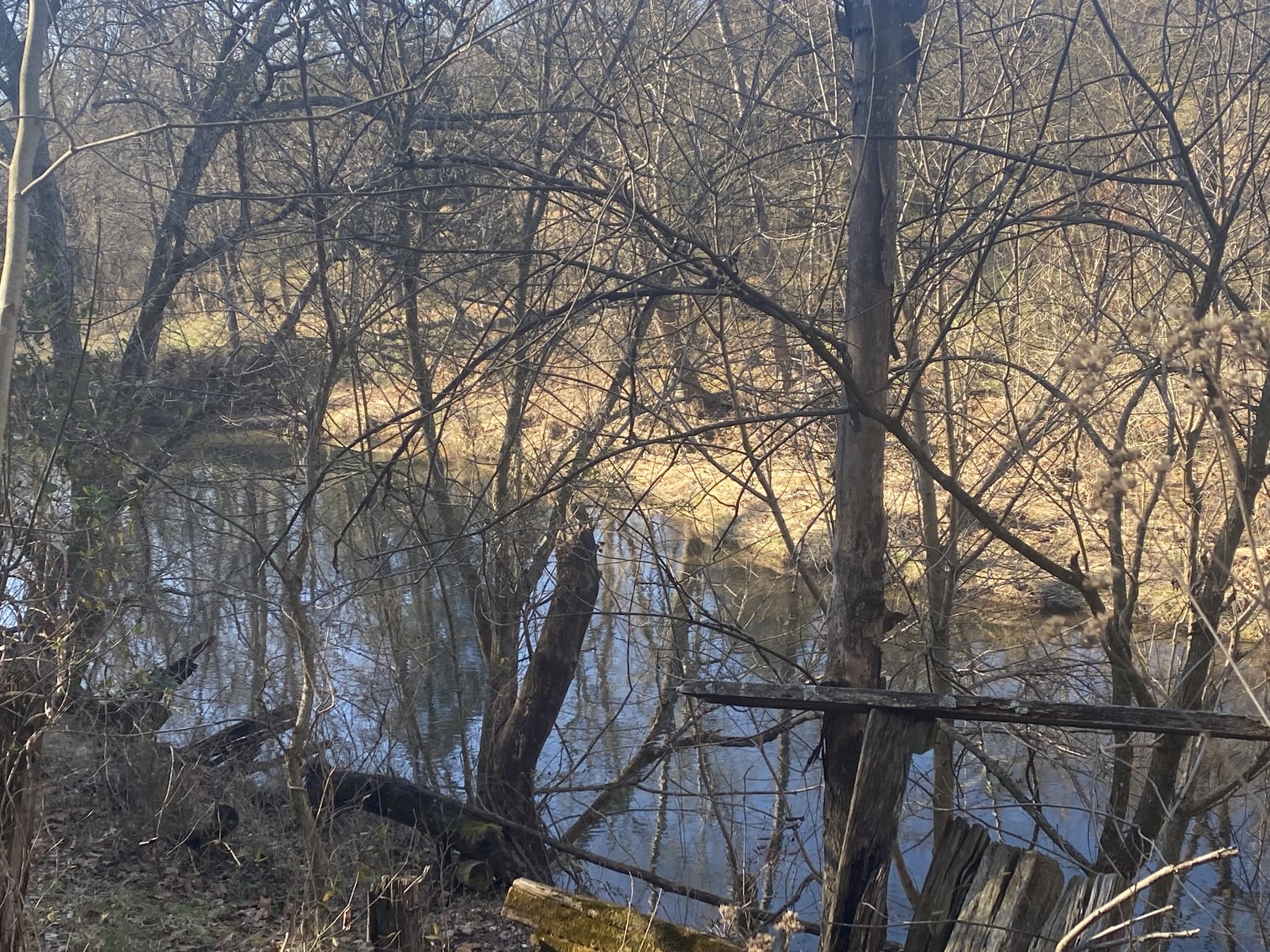 Image for 4 BR/3 BA Home on 20 +/- Acres w/Gorgeous Mountain Views, Multiple Barns/Outbuildings & Creek on Property--Page County, VA