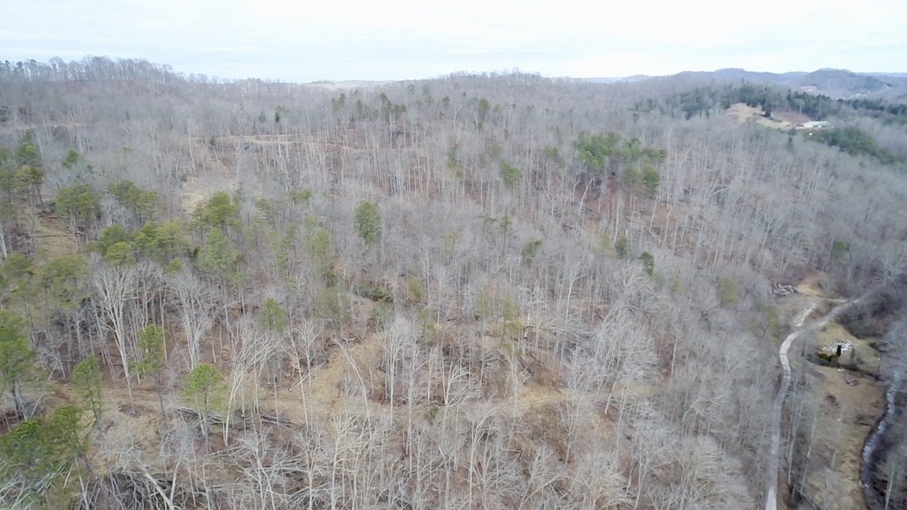 Image for SOLD $46,750 - 60 Acres in Charleston with Minerals
