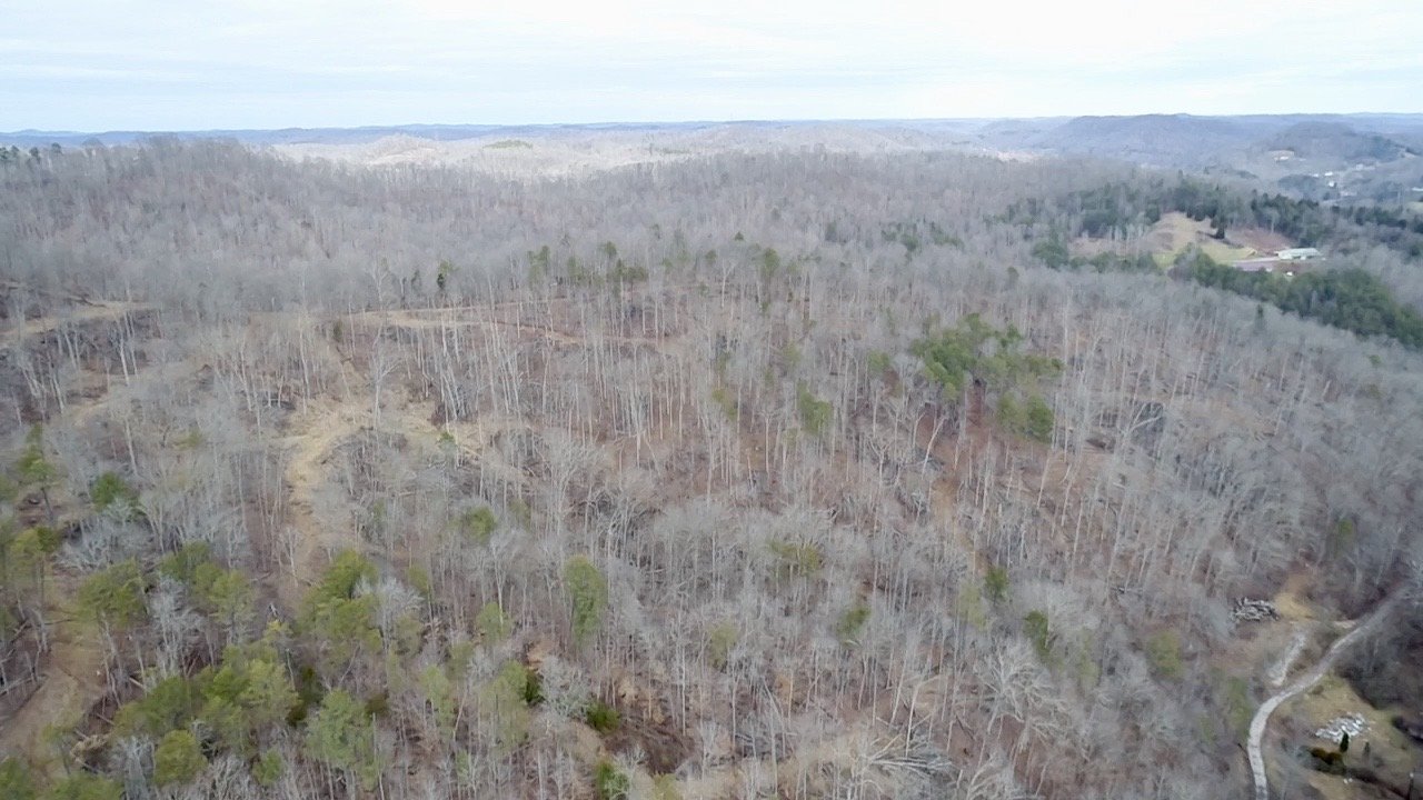 Image for SOLD $46,750 - 60 Acres in Charleston with Minerals