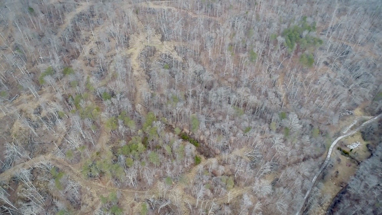 Image for SOLD $46,750 - 60 Acres in Charleston with Minerals