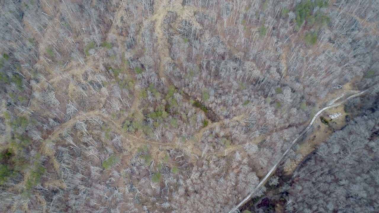 Image for SOLD $46,750 - 60 Acres in Charleston with Minerals