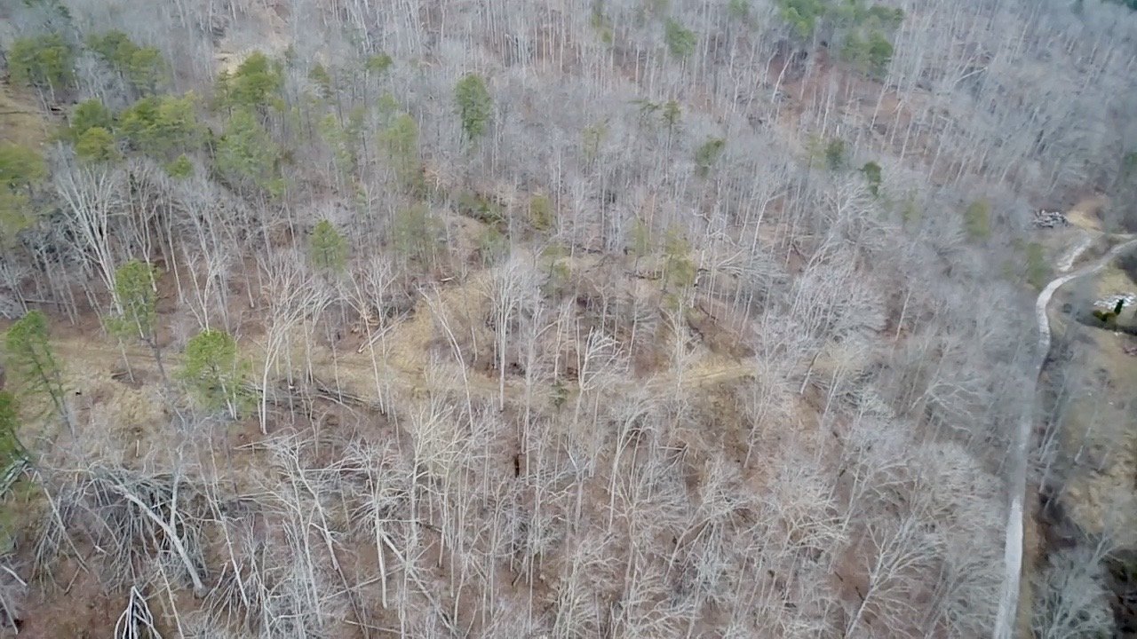 Image for SOLD $46,750 - 60 Acres in Charleston with Minerals