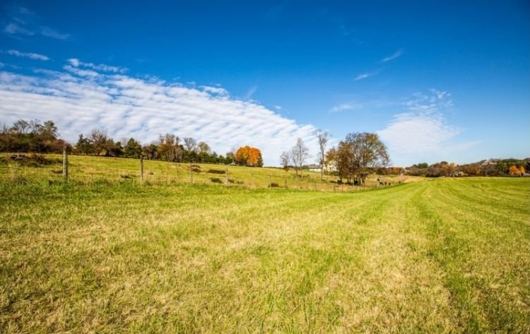 Image for Bear Wallow Farm/David Fultz House: 35 +/- Acres—Immaculately Restored and Historic 4 BR Home