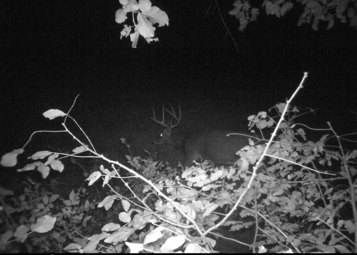 Image for Barron County 73 Acres Organic Farm and Hunting Land