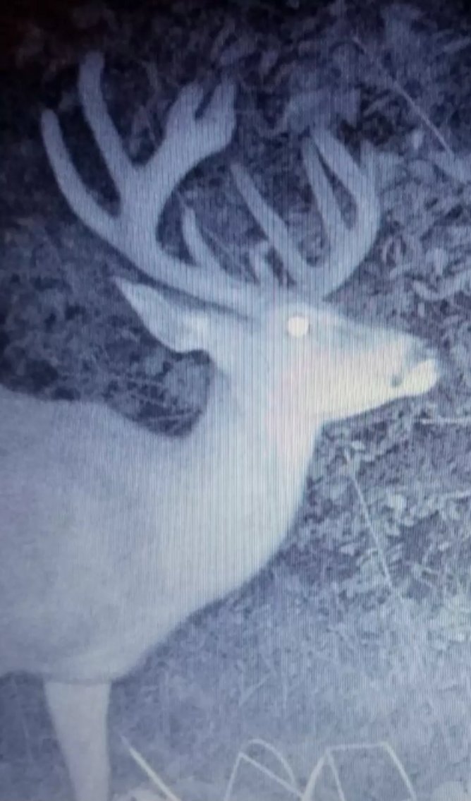 Image for Barron County 73 Acres Organic Farm and Hunting Land