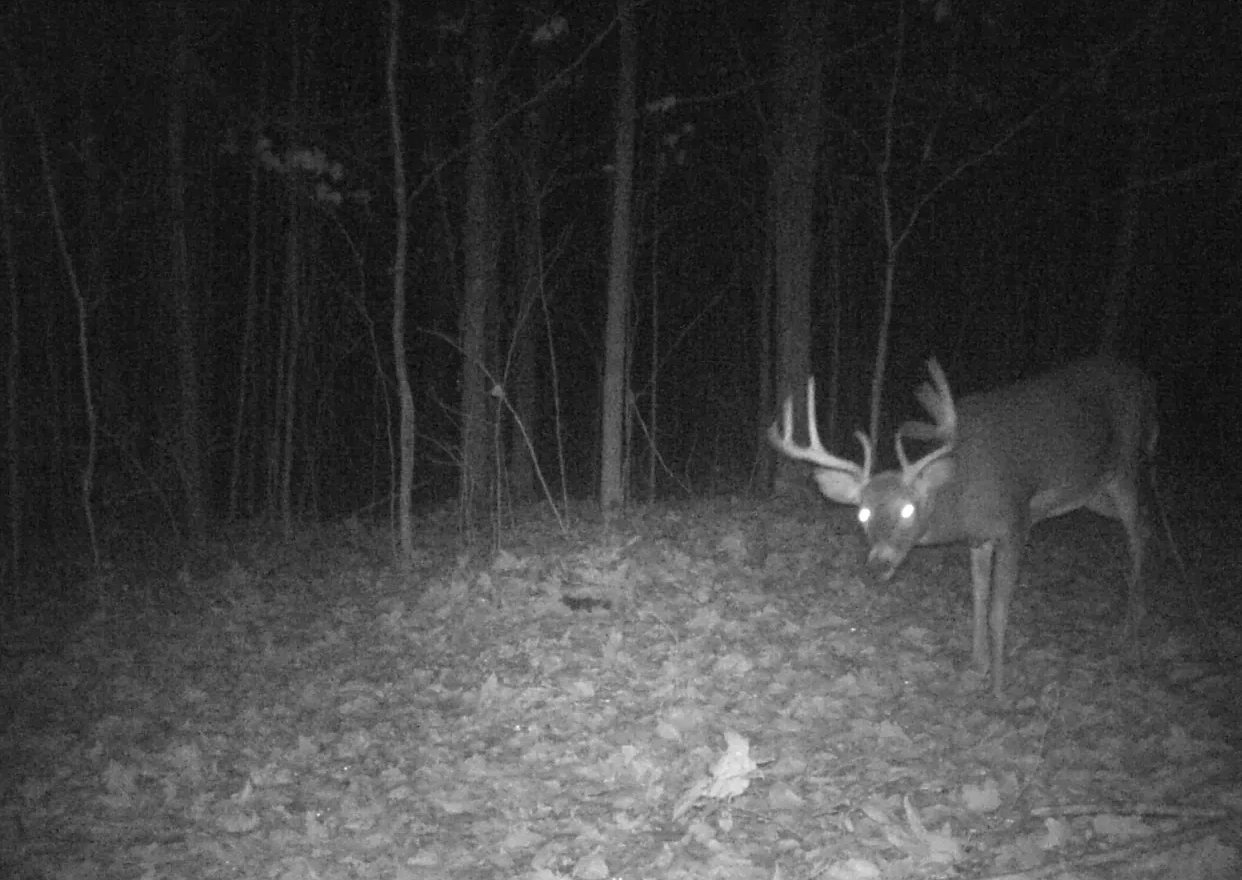 Image for Barron County 73 Acres Organic Farm and Hunting Land