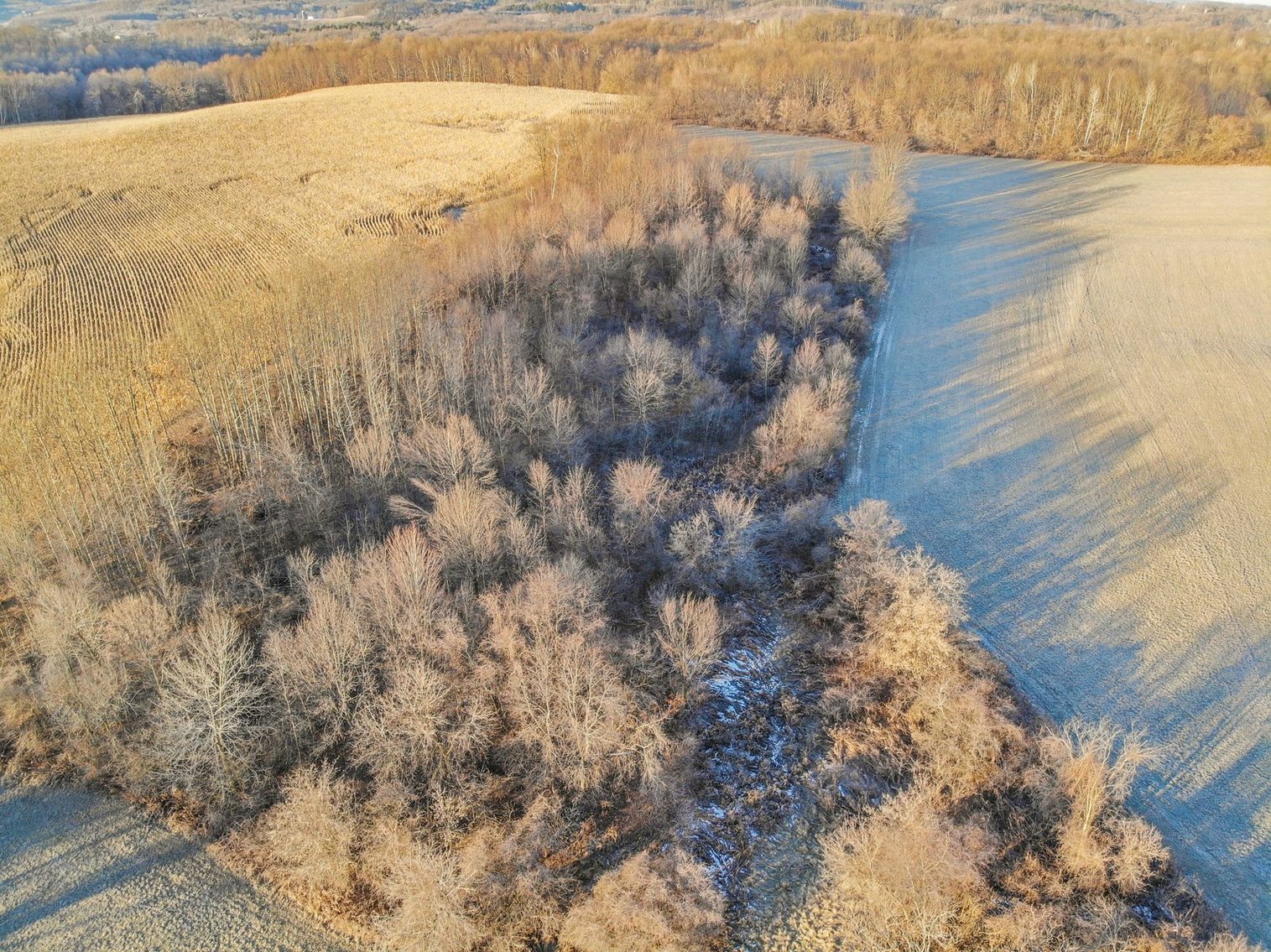 Image for Barron County 73 Acres Organic Farm and Hunting Land