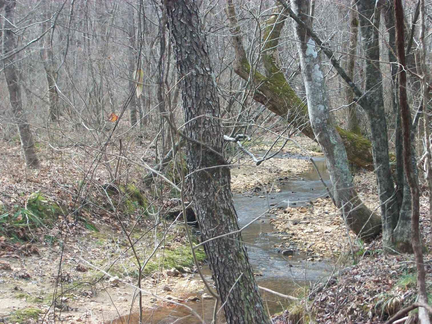 Image for Pittsylvania County Home & Land