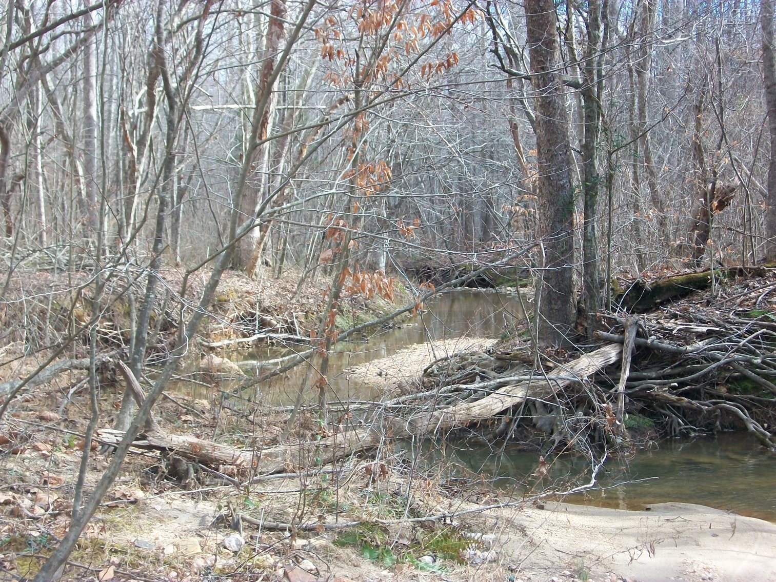 Image for Pittsylvania County Home & Land