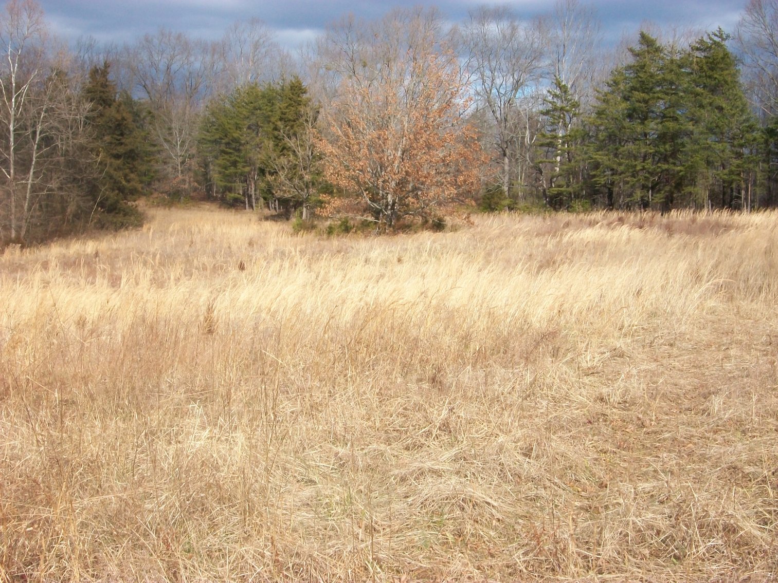 Image for Pittsylvania County Home & Land