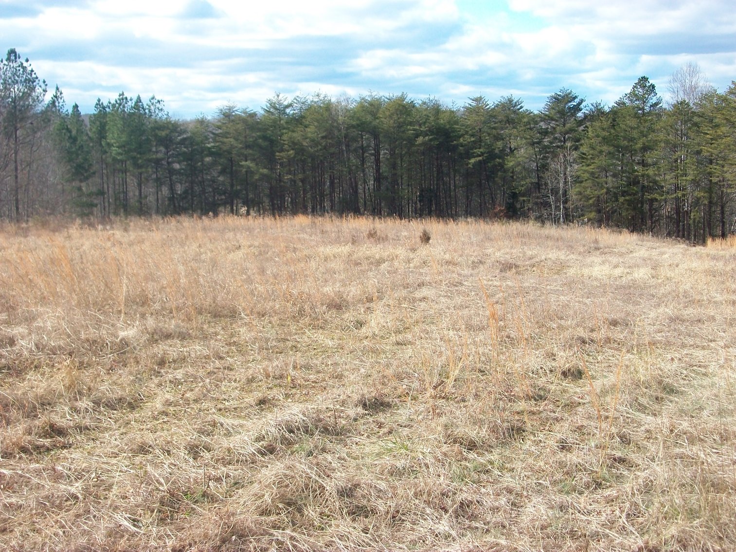 Image for Pittsylvania County Home & Land