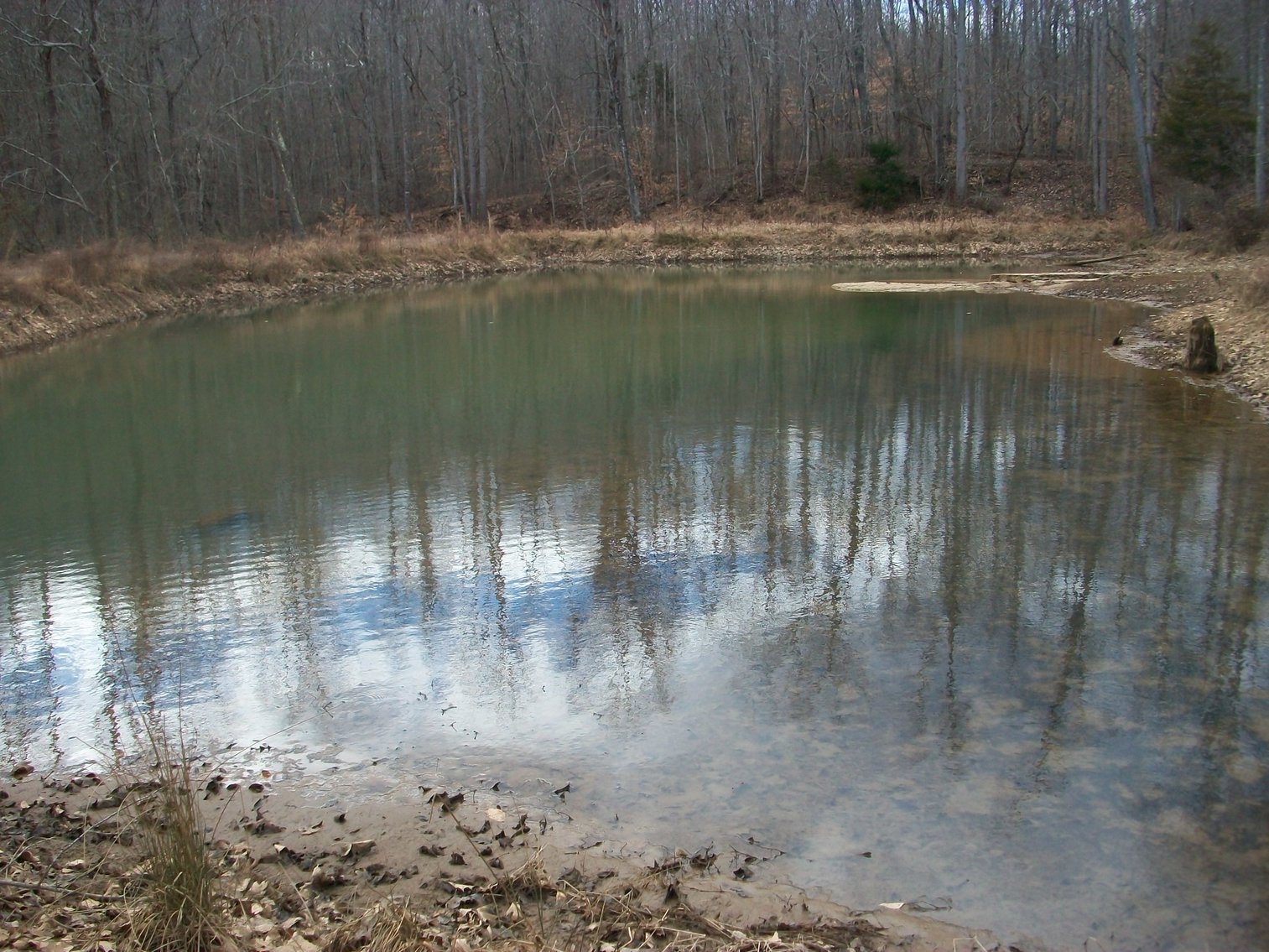 Image for Pittsylvania County Home & Land