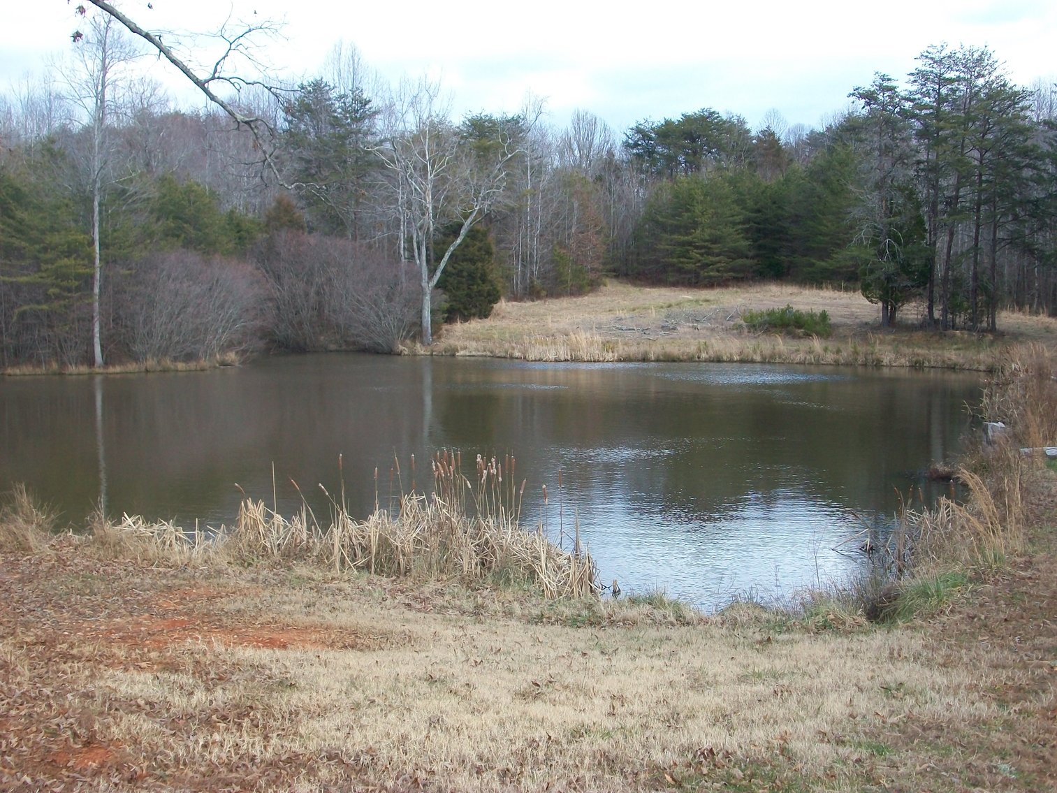 Image for Pittsylvania County Home & Land