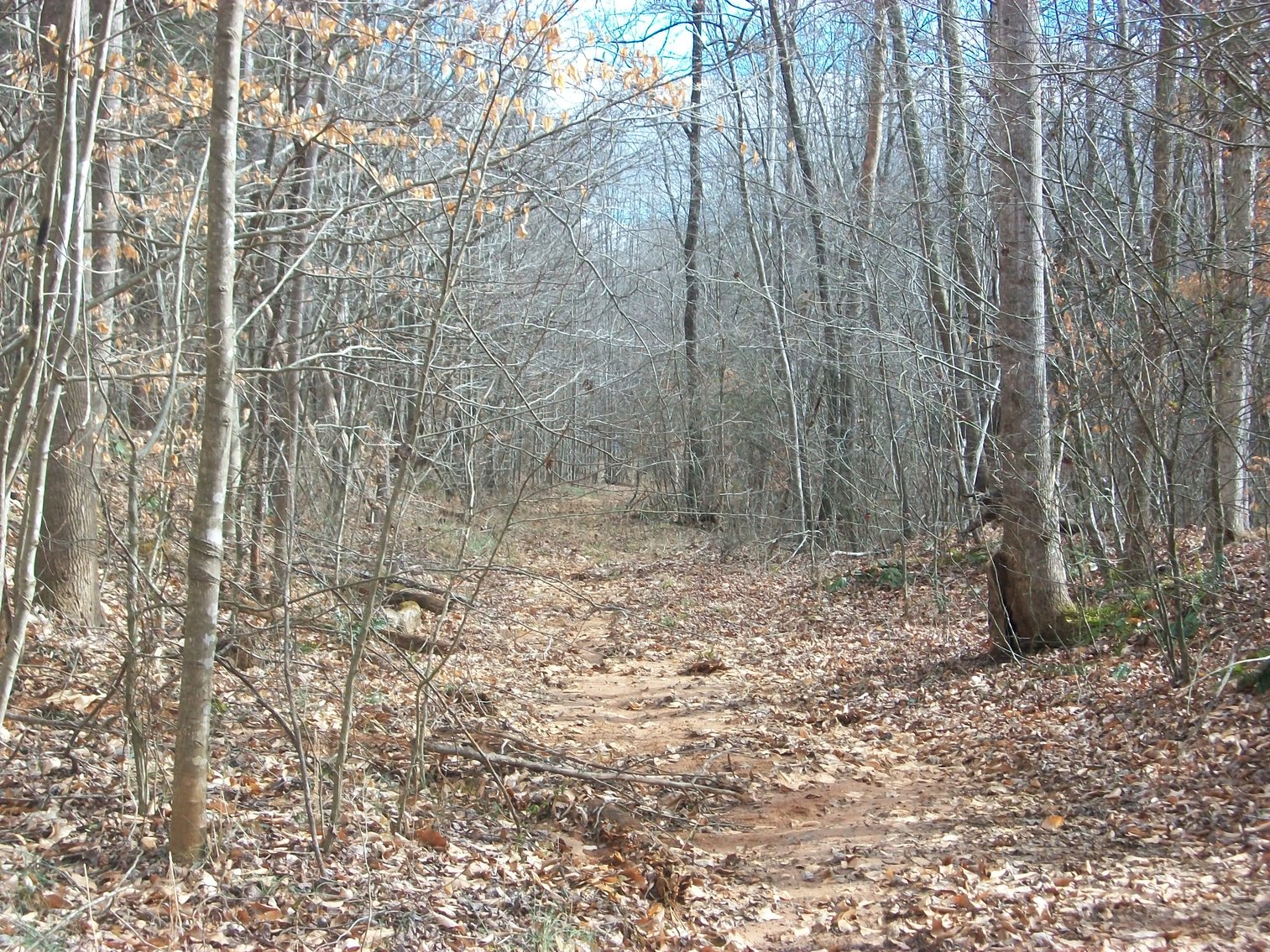 Image for Pittsylvania County Home & Land