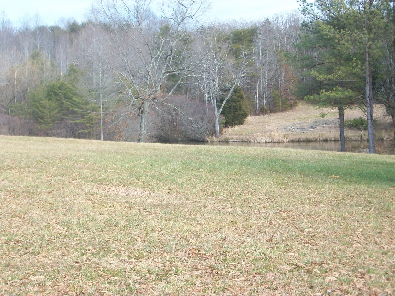 Image for Pittsylvania County Home & Land