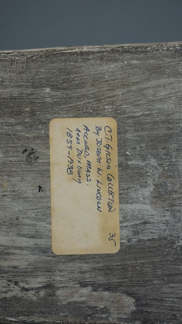 Image for Winter Sportsman's Auction '21 Session One