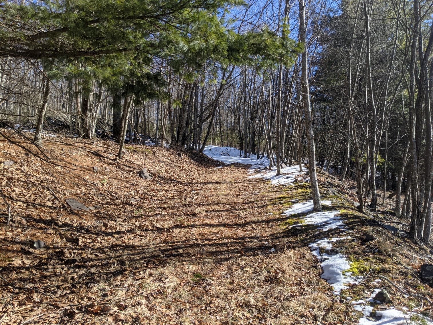 Image for Valuable Highland County Real Estate 4.36  +/- Acres And Improvements