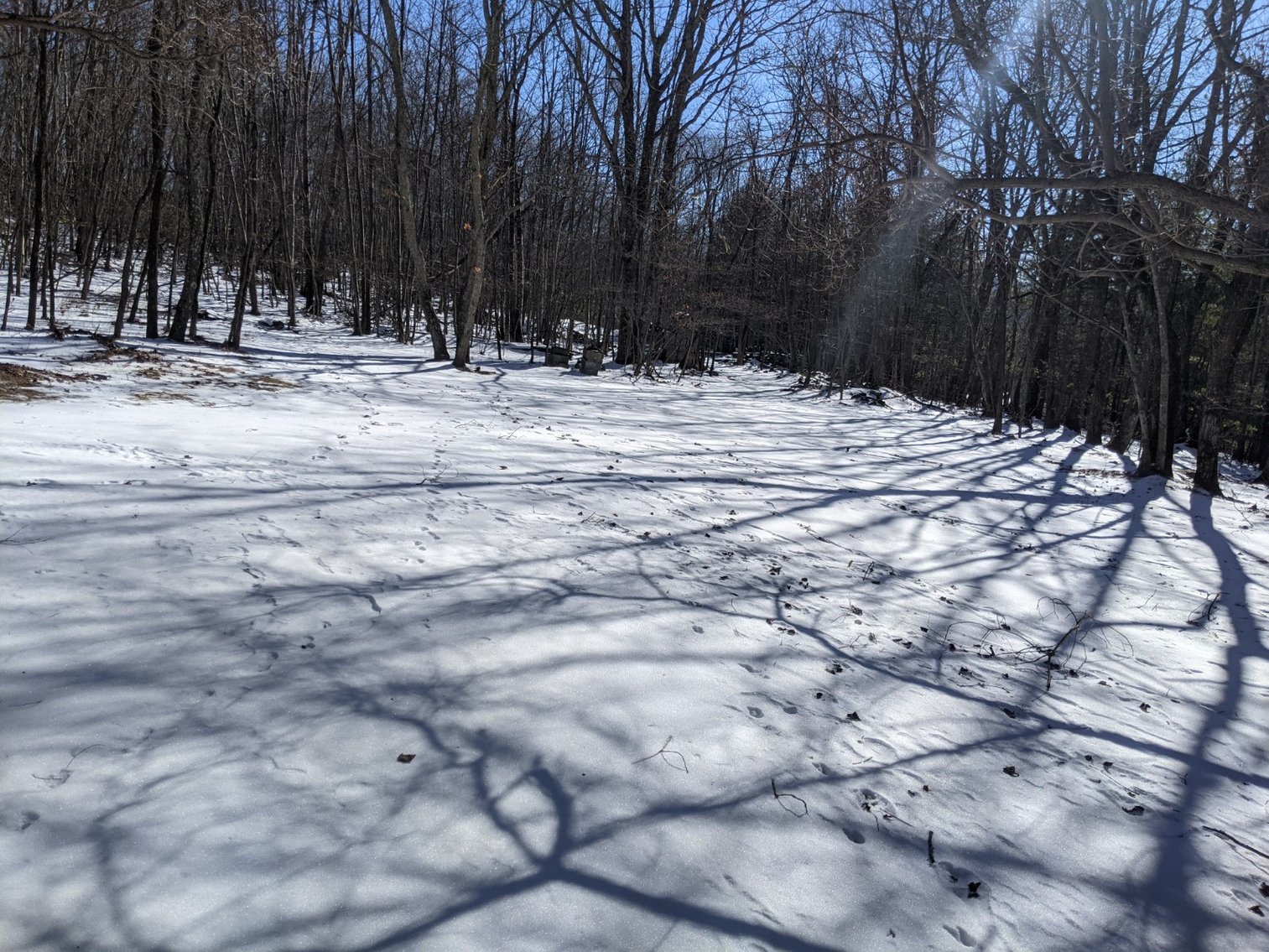 Image for Valuable Highland County Real Estate 4.36  +/- Acres And Improvements