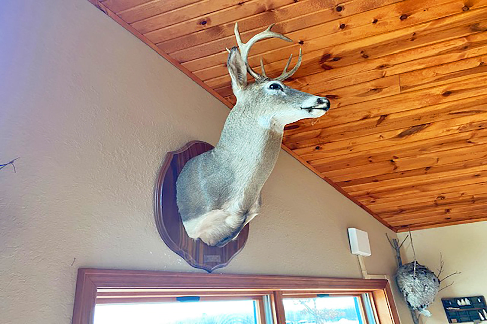 Image for PUBLIC AUCTION - MONDAY, MARCH 1, 10:00 A.M.