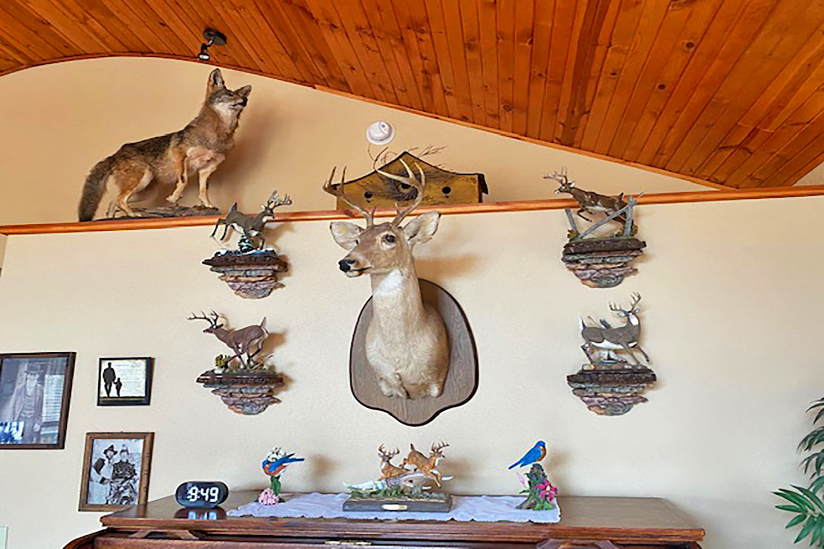 Image for PUBLIC AUCTION - MONDAY, MARCH 1, 10:00 A.M.