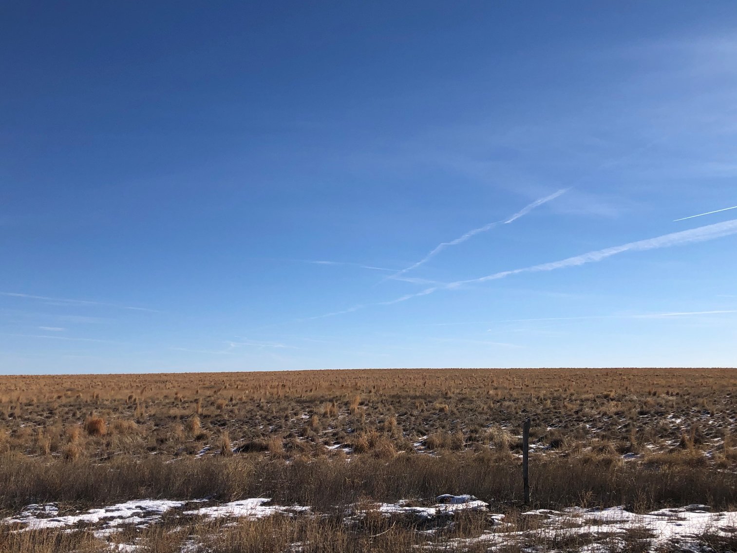 Image for PUEBLO COUNTY, CO - CRP {C4061}