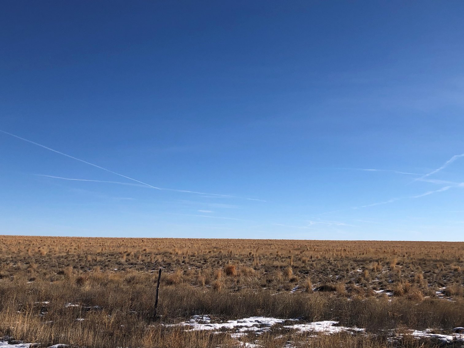 Image for PUEBLO COUNTY, CO - CRP {C4061}