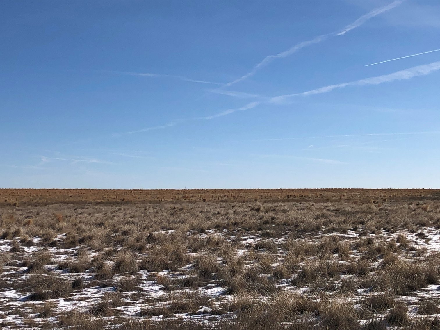 Image for PUEBLO COUNTY, CO - CRP {C4061}