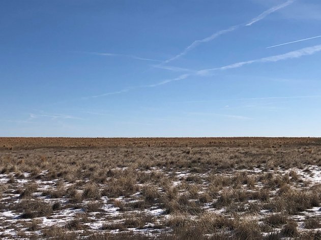 Image for PUEBLO COUNTY, CO - CRP {C4061}