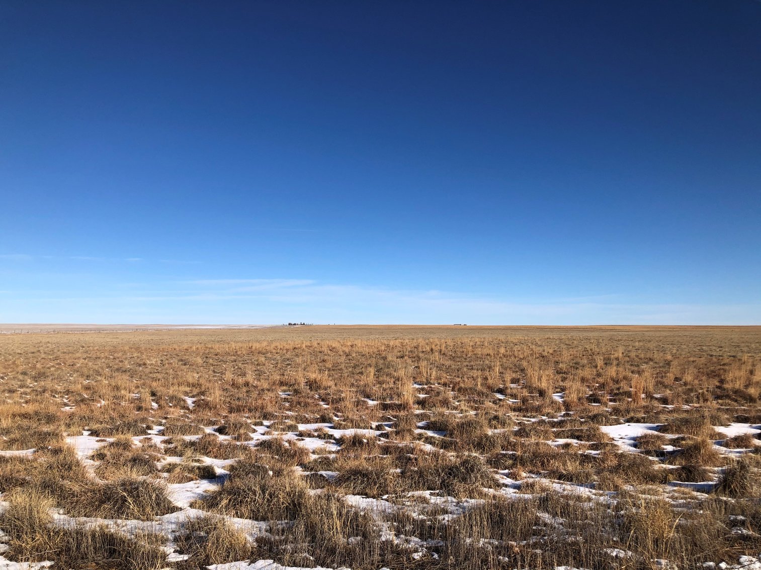 Image for PUEBLO COUNTY, CO - CRP {C4061}