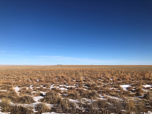 Image for PUEBLO COUNTY, CO - CRP {C4061}