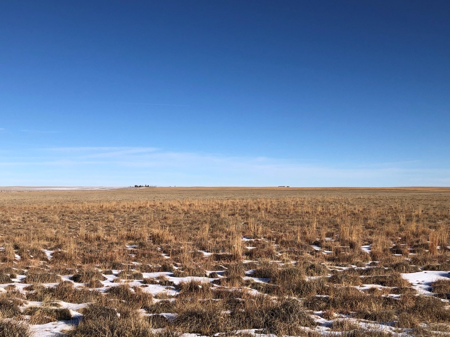 Image for PUEBLO COUNTY, CO - CRP {C4061}