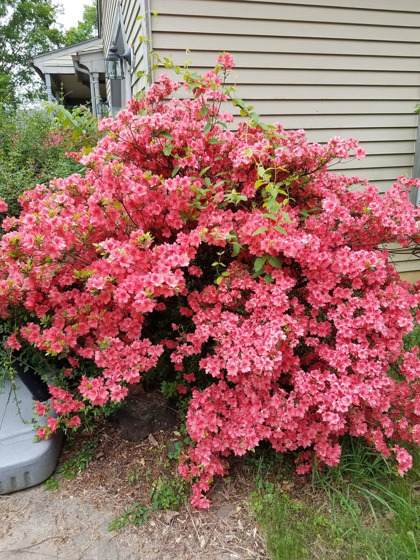 Image for 3 BR/2.5 BA Home on 1.37 +/- Acres w/Barn/Shop & Cottage--Fauquier County, VA