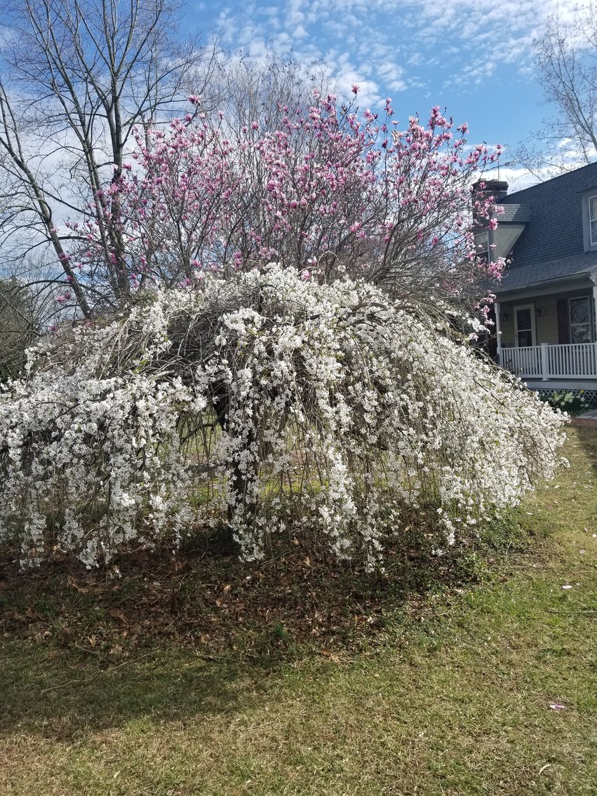 Image for 3 BR/2.5 BA Home on 1.37 +/- Acres w/Barn/Shop & Cottage--Fauquier County, VA