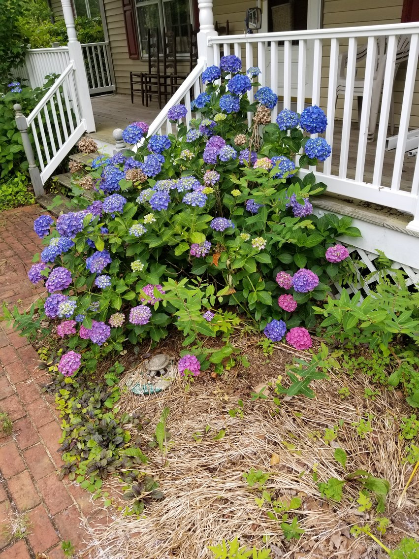 Image for 3 BR/2.5 BA Home on 1.37 +/- Acres w/Barn/Shop & Cottage--Fauquier County, VA