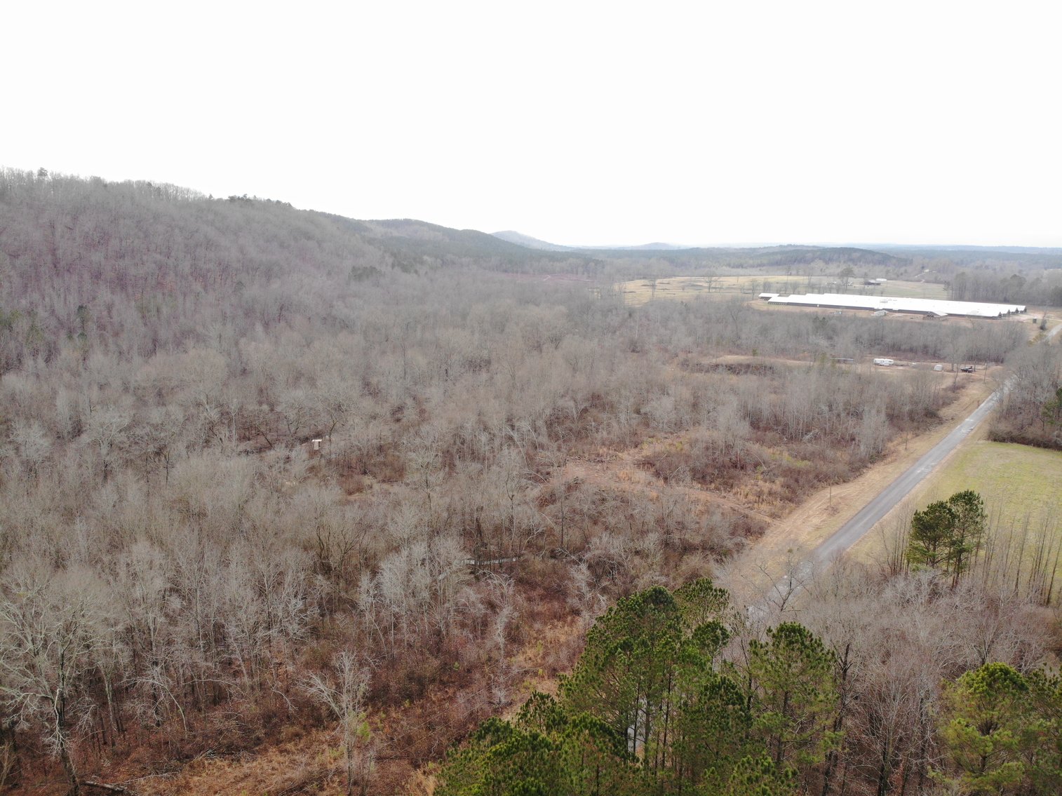 Image for Land --- 132+/- Acres ~ Cleburne County