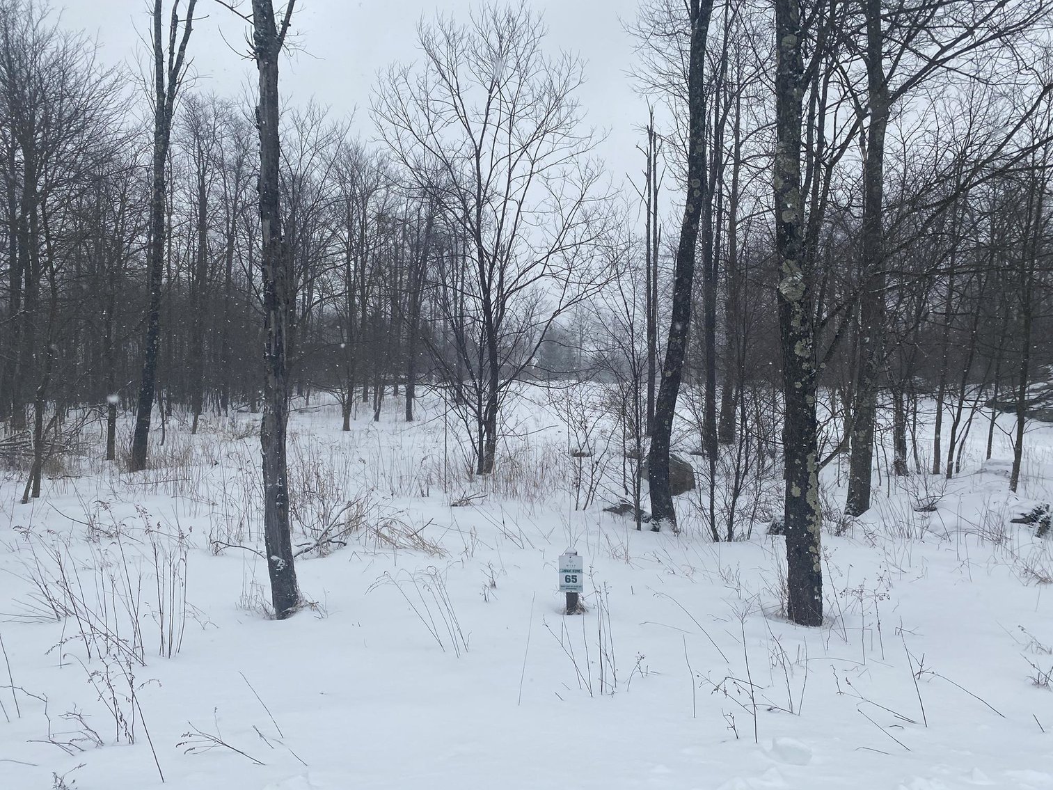 Image for SOLD $81,400 - Building Lot at Wisp Mountain Ski Resort