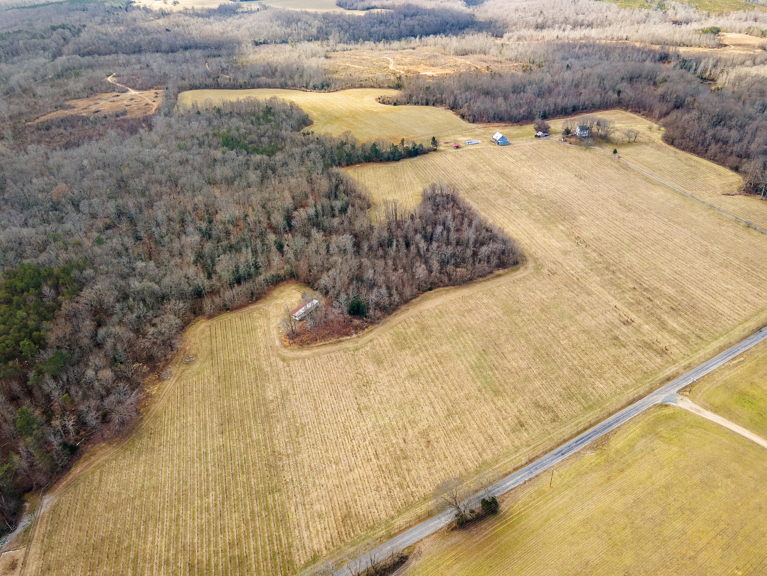 Image for 109 +/- Acres w/3 BR/2 BA  Farm House, Outbuildings & Grapevines/Vineyard--Essex County, VA