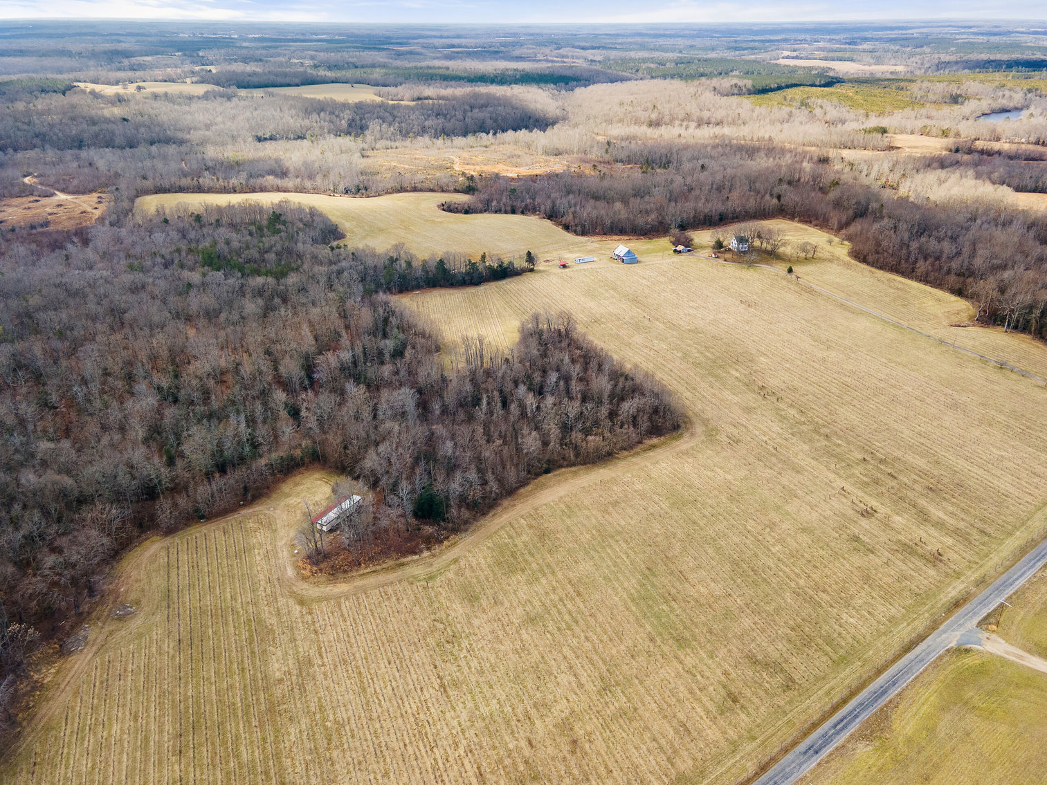 Image for 109 +/- Acres w/3 BR/2 BA  Farm House, Outbuildings & Grapevines/Vineyard--Essex County, VA
