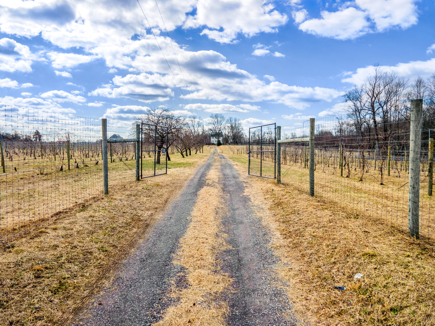 Image for 109 +/- Acres w/3 BR/2 BA  Farm House, Outbuildings & Grapevines/Vineyard--Essex County, VA