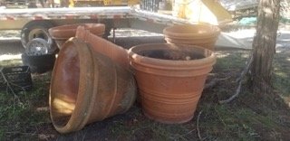 Image for 2021, February 6th | Kempner Ranch Liquidation Auction