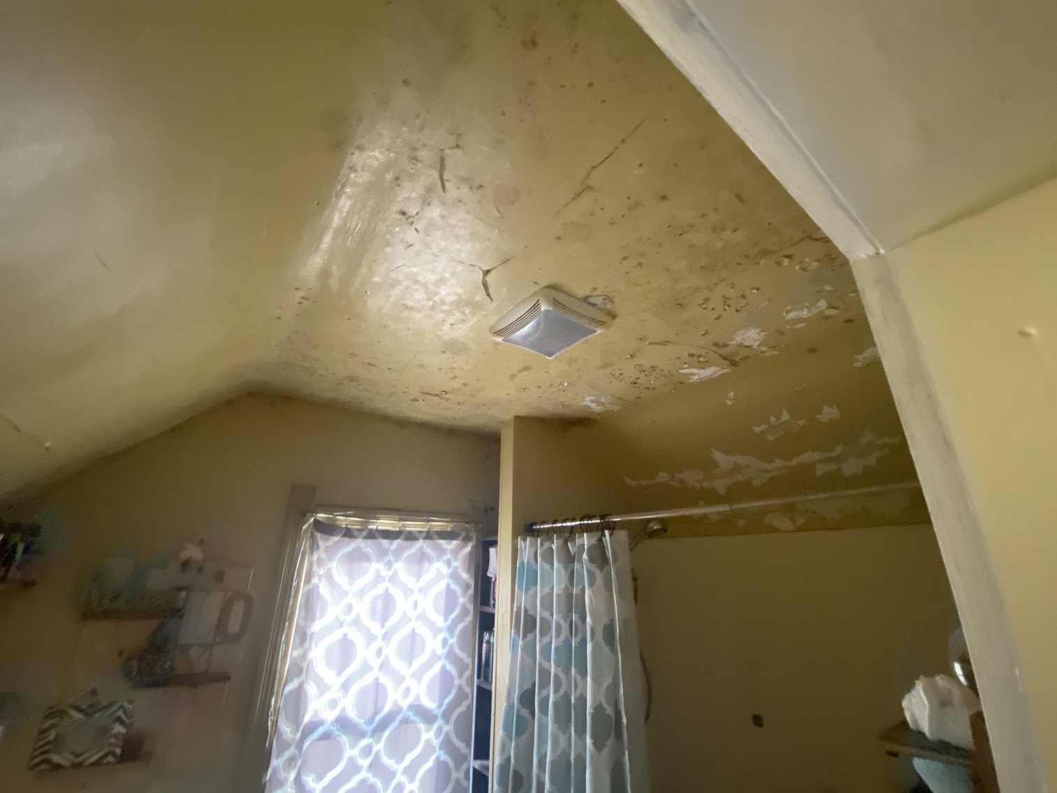 Image for 839 South Detroit Avenue, Toledo, Ohio 43609