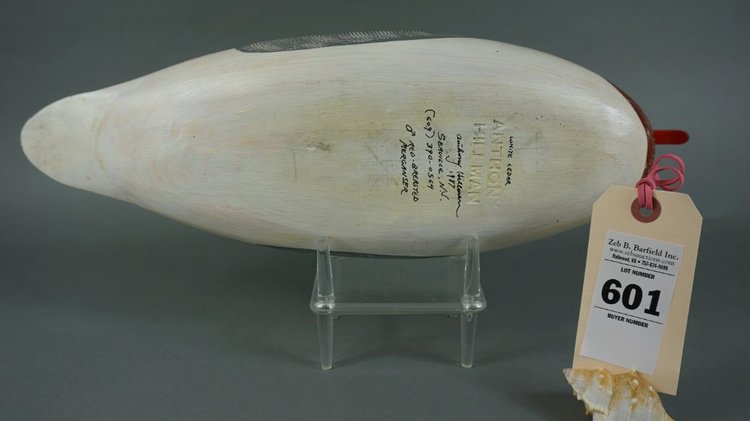 Image for Winter Sportsman's Timed Auction '21